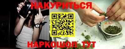 гашик Дубна