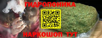 гашик Дубна
