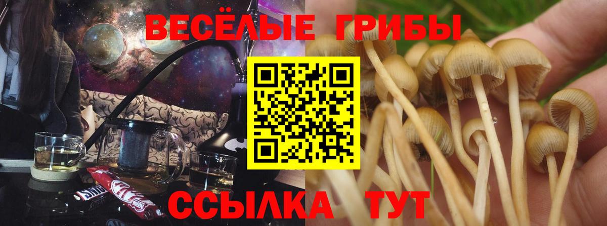 Псилоцибиновые грибы прущие грибы  купить закладку  Благовещенск  Галлюциногенные грибы Psilocybine cubensis  Вход с VPN 